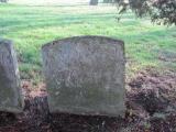 image of grave number 197451